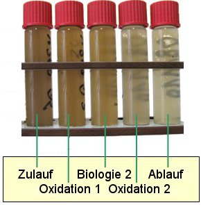 Biologisch-oxidativer Schadstoffabbau in unserer Wasseraufbereitungsanlage